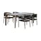 Armen Living Fineline and Doris Indoor Outdoor 5 Piece Dining Set in Light Eucalyptus Wood SETFLDILT5DOCH - alternate 1